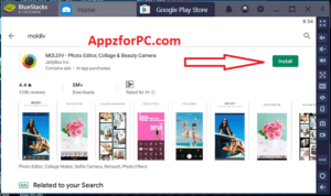 how-to-install-moldiv-for-pc
