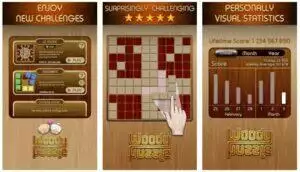 woody-block-puzzle-game-features