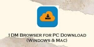1dm browser for pc