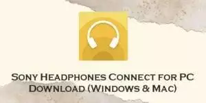 Sony headphone connect windows 10 sale