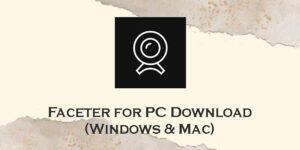 faceter for pc