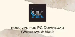 hoku vpn for pc