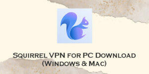 squirrel vpn for pc
