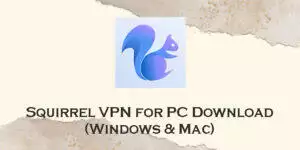 squirrel vpn for pc