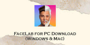 facelab for pc