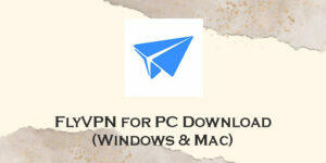 flyvpn for pc