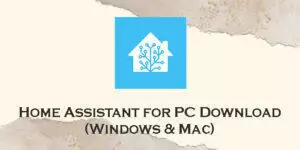 home assistant for pc