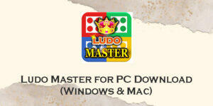 ludo master for pc