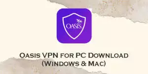 oasis vpn for pc