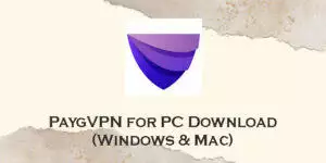 paygvpn for pc