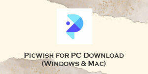 picwish for pc