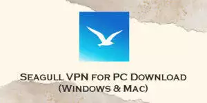 seagull vpn for pc