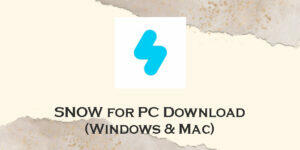 snow for pc