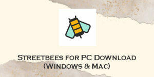 streetbees for pc
