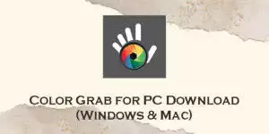 color grab for pc