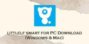 littleft smart for pc