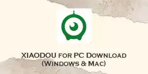 xiaodou for pc