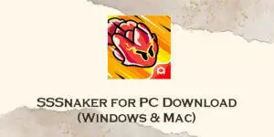 sssnaker for pc