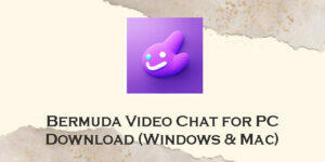 bermuda video chat for pc