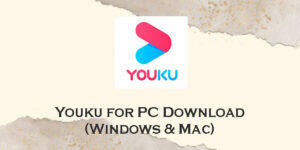 youku for pc