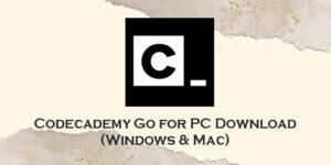 codecademy go for pc