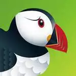 download puffin browser for pc