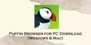 puffin browser for pc