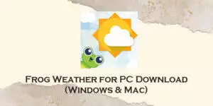 frog weather for pc