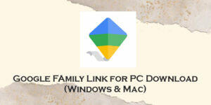 google family link for pc