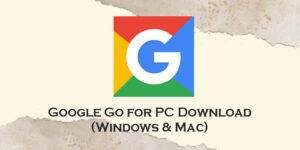 google go for pc