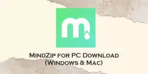 mindzip for pc