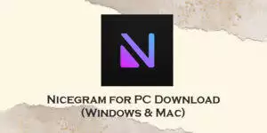 nicegram for pc