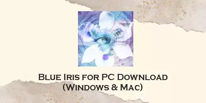 blue iris for pc