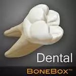 download bonebox dental lite for pc