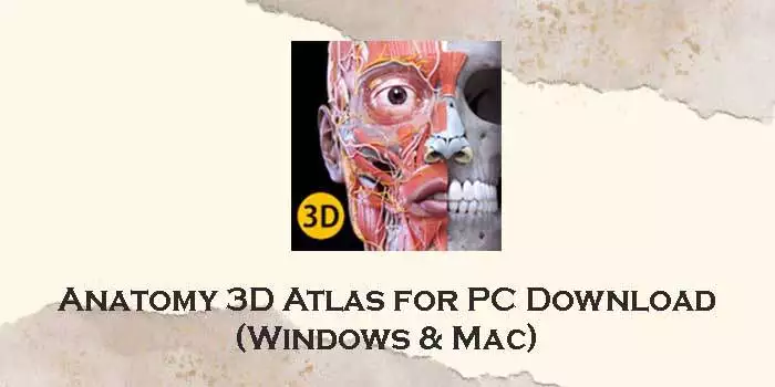 anatomy 3d atlas for pc