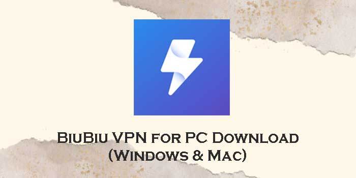 biubiu vpn for pc