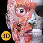 download anatomy 3d atlas for pc