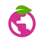 download berry browser for pc