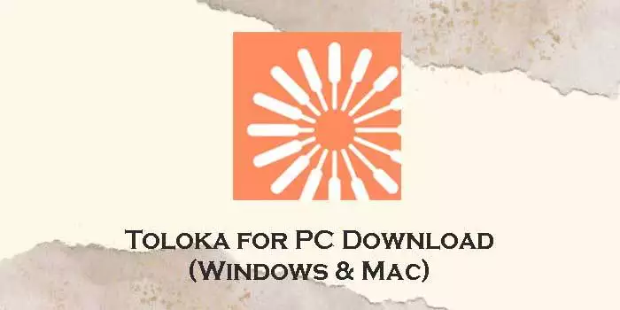 toloka for pc