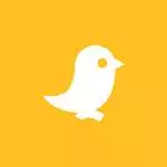 download-white-bird-for-pc
