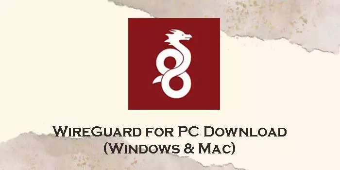 WireGuard-for-pc